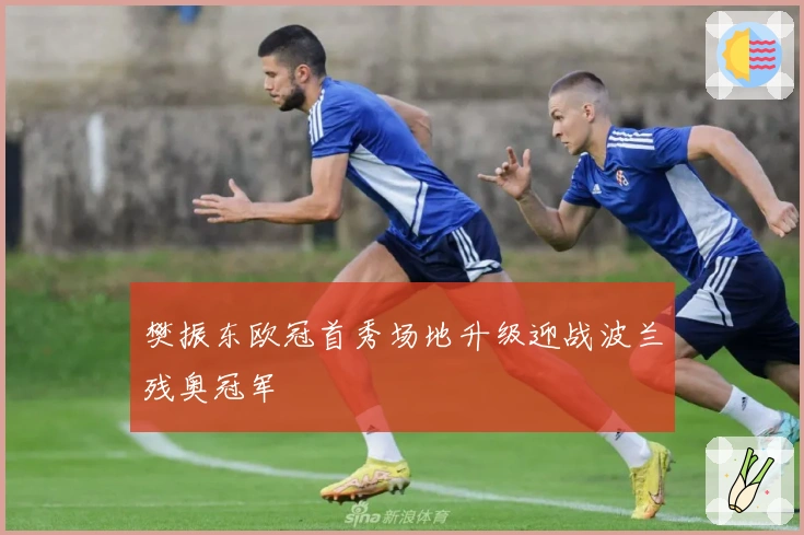 樊振东欧冠首秀场地升级迎战波兰残奥冠军