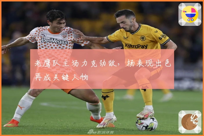 老鹰队主场力克劲敌，杨表现出色再成关键人物